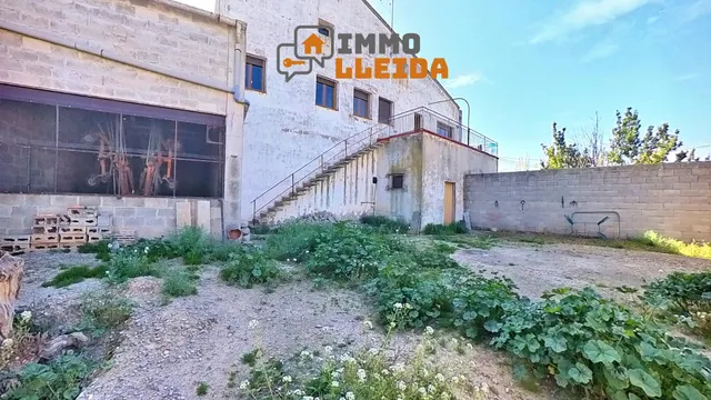 OPORTUNIDAD Casa con mucho terreno y varios garajes — 33