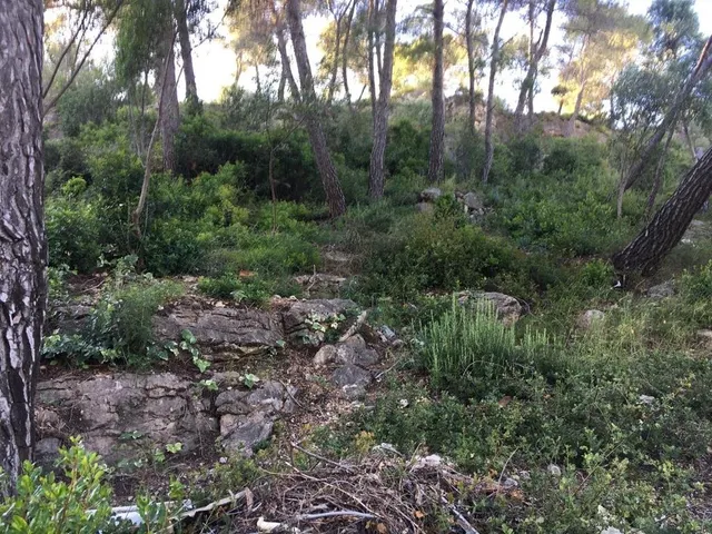 PARCELA URBANA DE 800 M2 EN VENTA EN VALLIRANA — 8