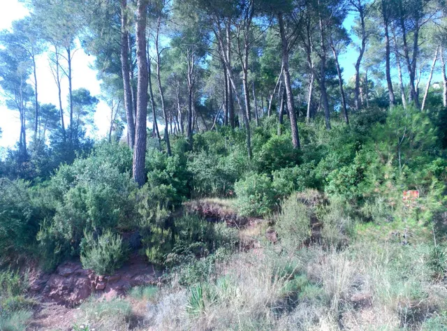 Espectacular terreno que da a dos calles, en Corbera de Llobregat, cerca Hotel Can Fisa. — 19