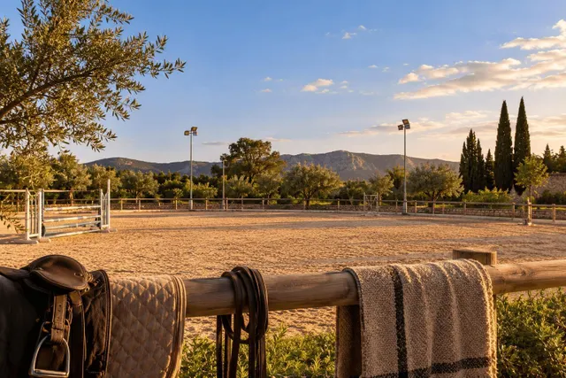 Finca rústica ideal para caballos, en Palma — 19