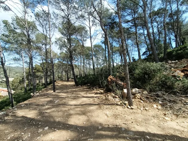 ¡¡Gran ocasión!! Parcela soleada con vistas — 4