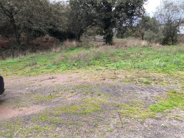 Se venden 2 fincas urbanas una enfrente a la otra en Cabovil - foto 4