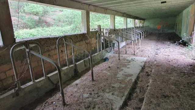14 Hectáreas de terreno rural con cuadra/pajar de 300 m2. Ju - foto 3