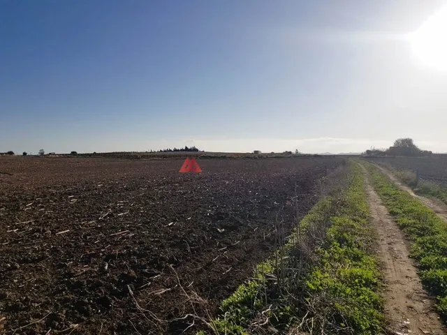 PARCELA SEGREGADA MIRALAMAR — 18