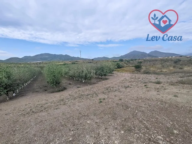 Casa de campo en venta en Atalaya, Mazarrón, con 18.000 m2 d - foto 4