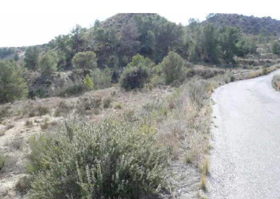 Suelo no urbanizable en venta en pre. los zarates poligono 4 parcela 113 y 114, s/n, Molina De Segur