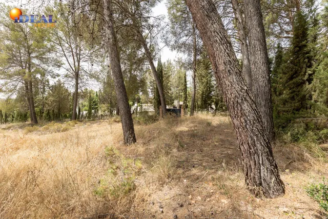EXCLUSIVO TERRENO EN VENTA EN ALBOLOTE — 19