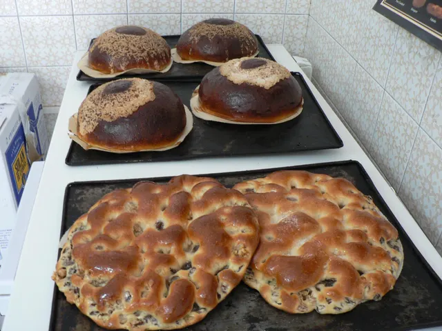 TRASPASO DE HORNO  BOLLERÍA  EN EL BOTANIC — 44