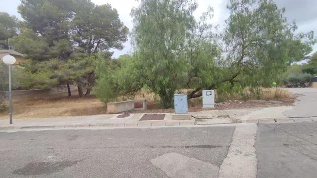 LA MEJOR PARCELA DE ALTORREAL — 4