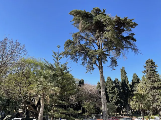Ático 4 habitaciones 253m² en venta - Marbella — 20