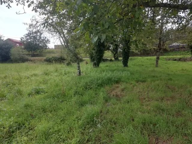 Terreno Urbano en Pedrouzo-Coristanco - foto 4