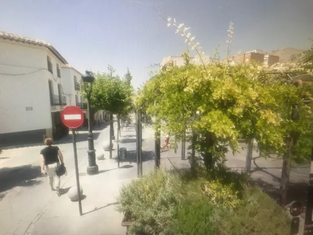 TRASPASO O VENTA DE LOCAL COMERCIAL CENTRICO EN VELEZ RUBIO - foto 5