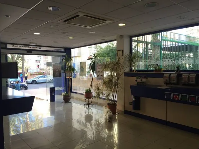 Se vende licencia de administración de loterías en Benidorm con buenas ventas por jubilación. — 4