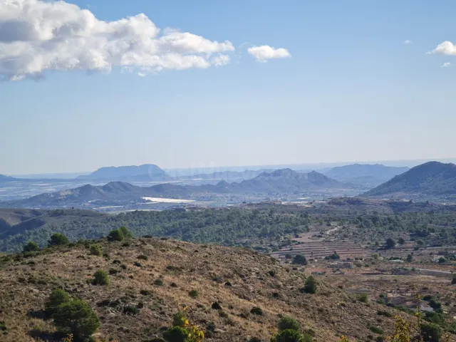 Parcela en la Romana, Comunidad Valenciana