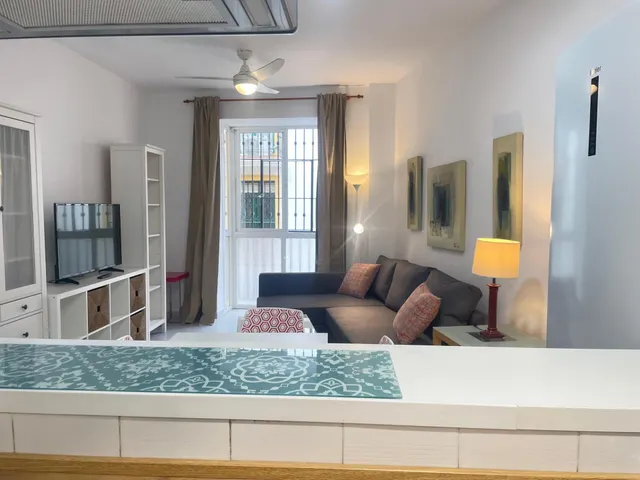 ¡ALQUILER DE APARTAMENTO EN EL CORAZÓN DEL CASCO ANTIGUO DE MÁLAGA! — 7
