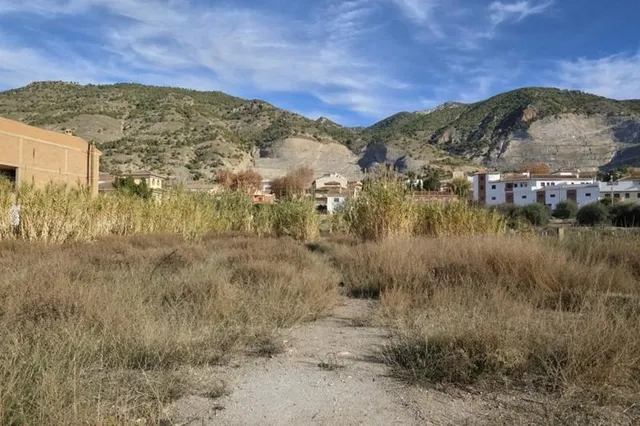 Gran parcela en Padul — 14