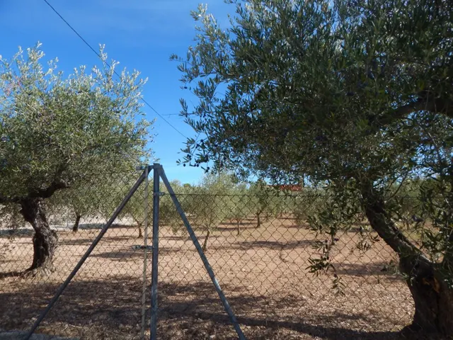 Terreno urbanizable en Ontinyent — 3