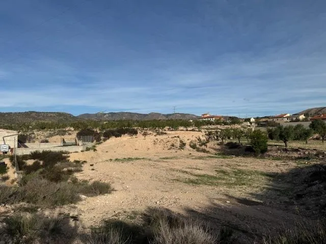 Venta  de terreno en Barinas (Abanilla) — 11
