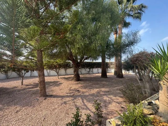 FINCA LAS BRISAS EN DAYA VIEJA — 9