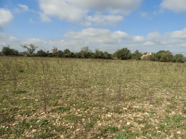 Terreno edificable con proyecto en Manacor - foto 3
