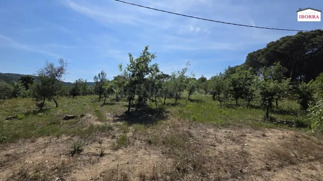 PARCELA EN EL BARRIO DE SAN ANDRES DE TORDERA - foto 3