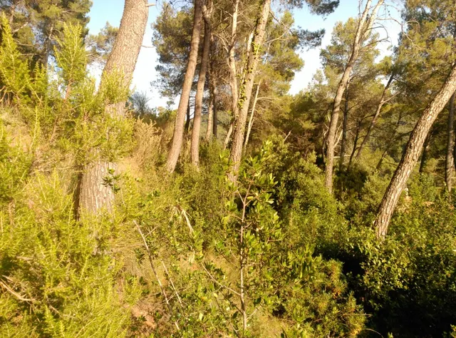Espectacular terreno que da a dos calles, en Corbera de Llobregat, cerca Hotel Can Fisa. — 21