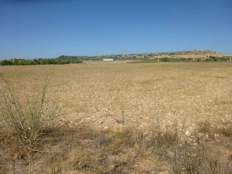 PARCELA EN PARAJE LA ESTACÁ