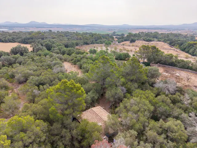 Encanto rústico en plena naturaleza, a solo 5 minutos de Es Cruce – Petra, Mallorca — 8