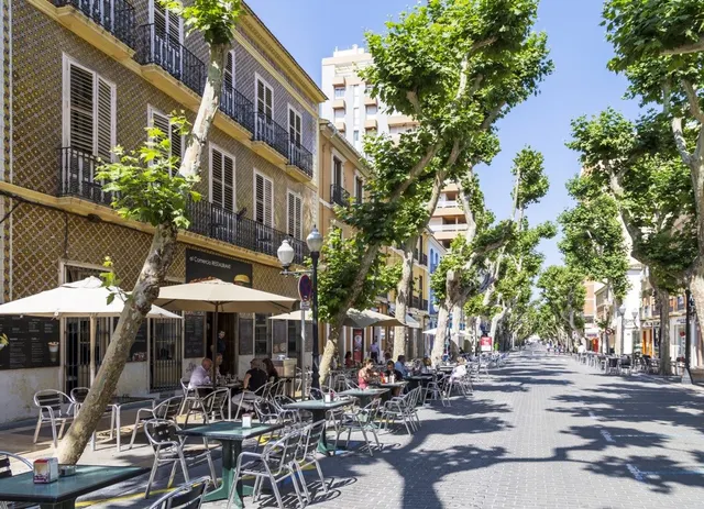 Parcela con vistas en galeretes — 25