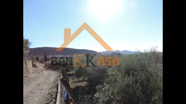 SE VENDE TERRERENO RURAL EN BERJA CON CORTIJO — 38