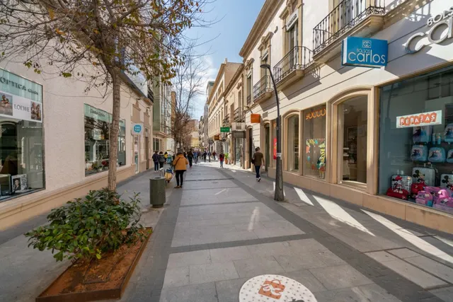 Local en alquiler en Navarro Rodrigo — 14