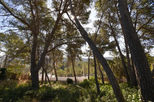TERRENO EN LA URBANIZACIÓN LAS COLINES, OLIVELLA — 5