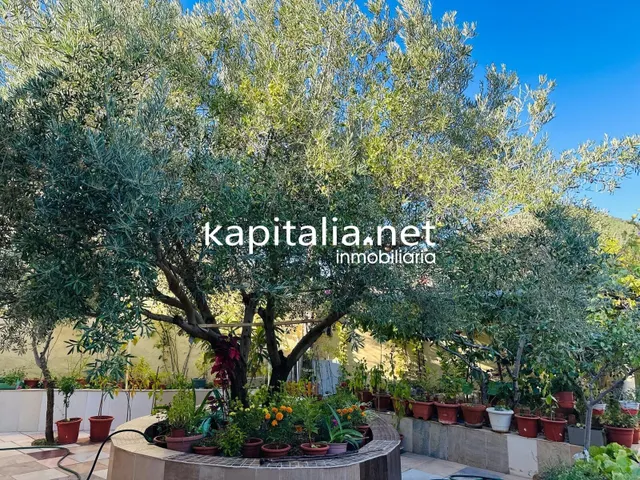 Amplia casa a la venta en Font de la Figuera (Valencia) — 17