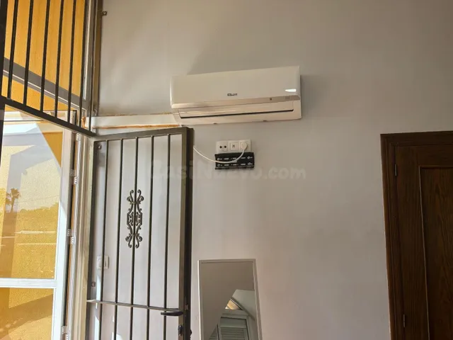 Chalet en Partida del Boch en Crevillente. — 45