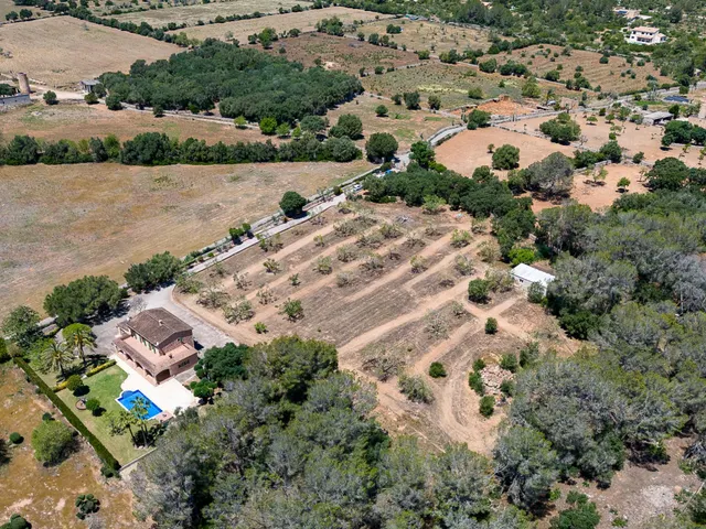 Finca Rústica en Algaida con piscina, privacidad y carácter mallorquín — 6