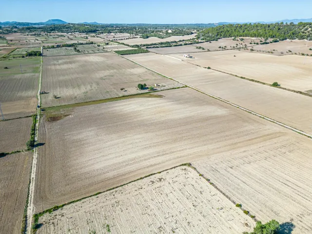 Terreno de 42.618m2 con Proyecto Basico y Ejecutivo Aprobados, mas Licencia para casa de 204 m2 — 19