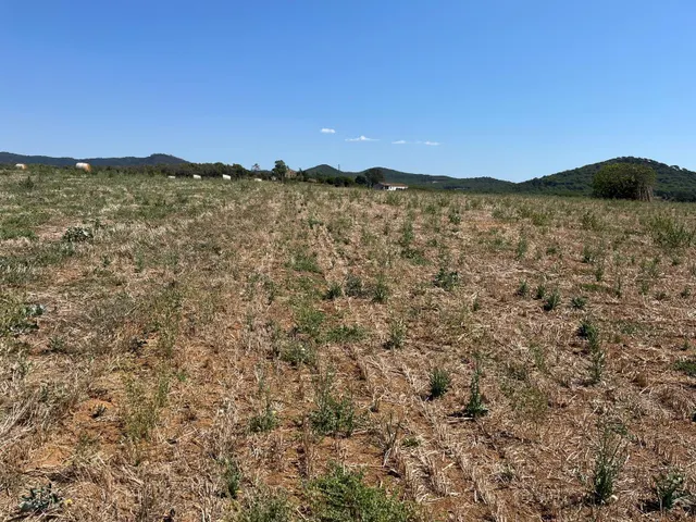 Dos parcelas rústicas juntas entre Tordera y Blanes — 7