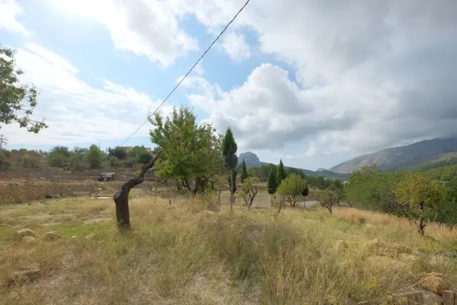 Parcela en Benissa partida Viniyent — 6