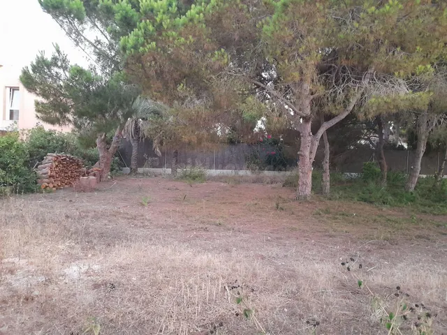 Terreno urbano en venta - Cabo Roig - foto 3
