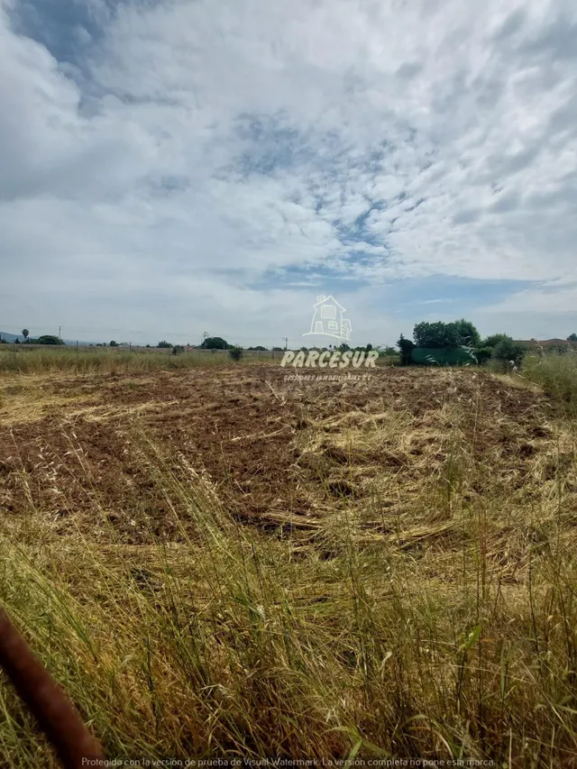 ctra aeropuerto, terreno de 1000m2