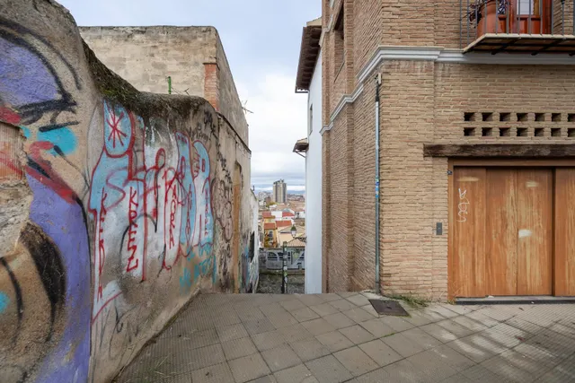SE VENDE TERRENO URBANO PLURIFAMILIAR ZONA REAL DE CARTUJA Y JARDINES DEL TRIUNFO — 20