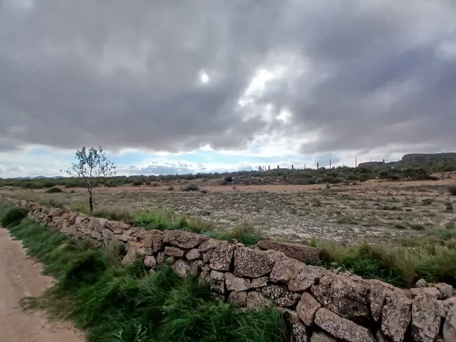 Parcela en venta - Yecla — 12