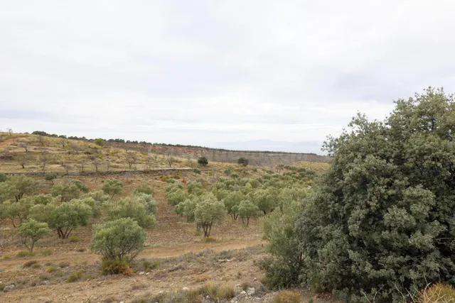 Magnífica finca de 400 olivos en Monachil — 13