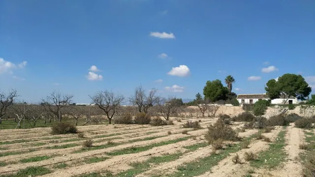 Casa de campo con 4.070m2 de terreno y 88 m2 de vivienda — 6