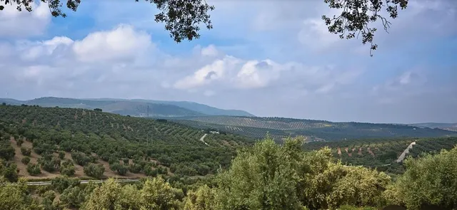 Parcela en venta - Andalucia — 14