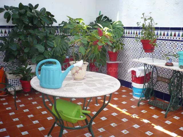 CASA DE PUEBLO EN PARQUE NATURAL