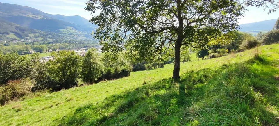 TU OPORTUNIDAD EN EL CORAZÓN VERDE DE CANTABRIA.-