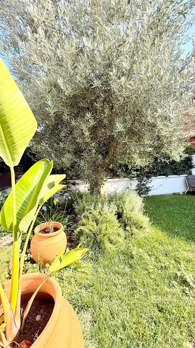 La casa donde tu familia empezará una nueva etapa - foto 2