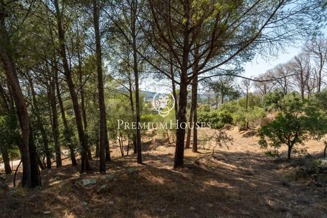 Finca rústica con encanto en Riudecanyes - foto 4