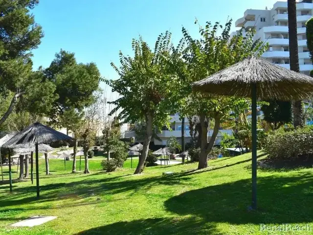 OPORTUNIDAD EN BENALBEACH — 32